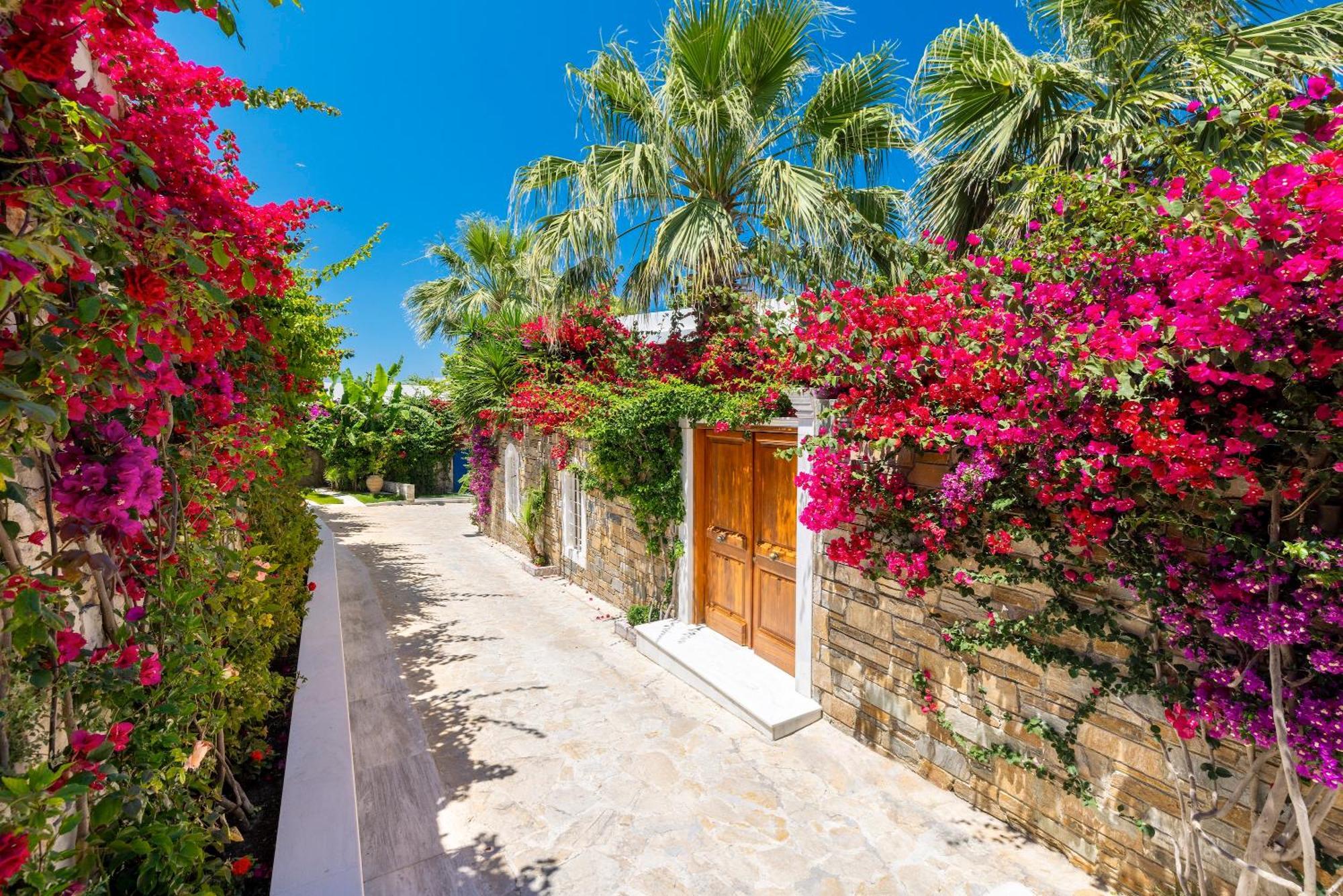 Porto Zante Villas And Spa 트라가키온 외부 사진